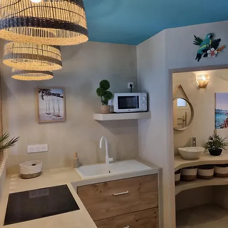 Appartement Les Spas De La Mer, Appart&spa Aloha, 100m De La Plage, Plein Cœur Du Grau *