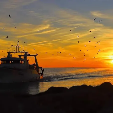 Les Spas De La Mer, Appart&spa Aloha, 100m De La Plage, Plein Cœur Du Grau Appartement *