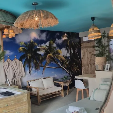 Les Spas De La Mer, Appart&spa Aloha, 100m De La Plage, Plein Coeur Du Grau Apartment